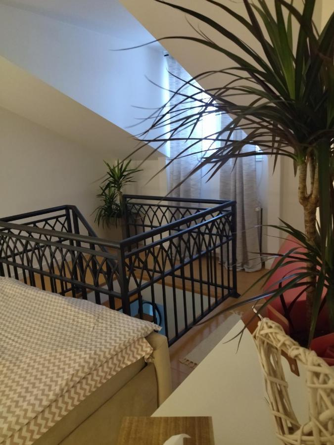 Apartman Element Kruševac Eksteriør billede