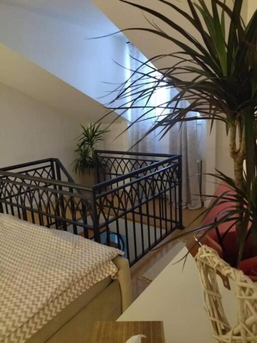 Apartman Element Kruševac Eksteriør billede